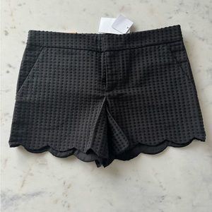 Club Monaco Amber low rise short